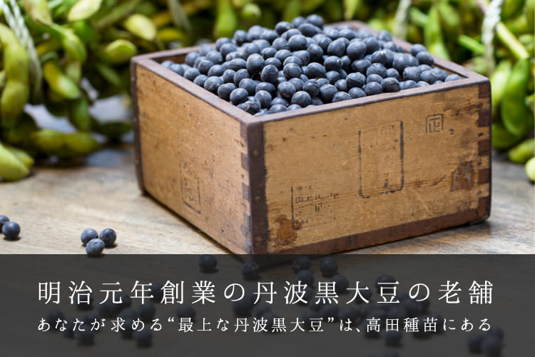 明治元年創業の丹波黒大豆の老舗　あなたが求める“最上な丹波黒大豆”は、高田種苗にある。
            