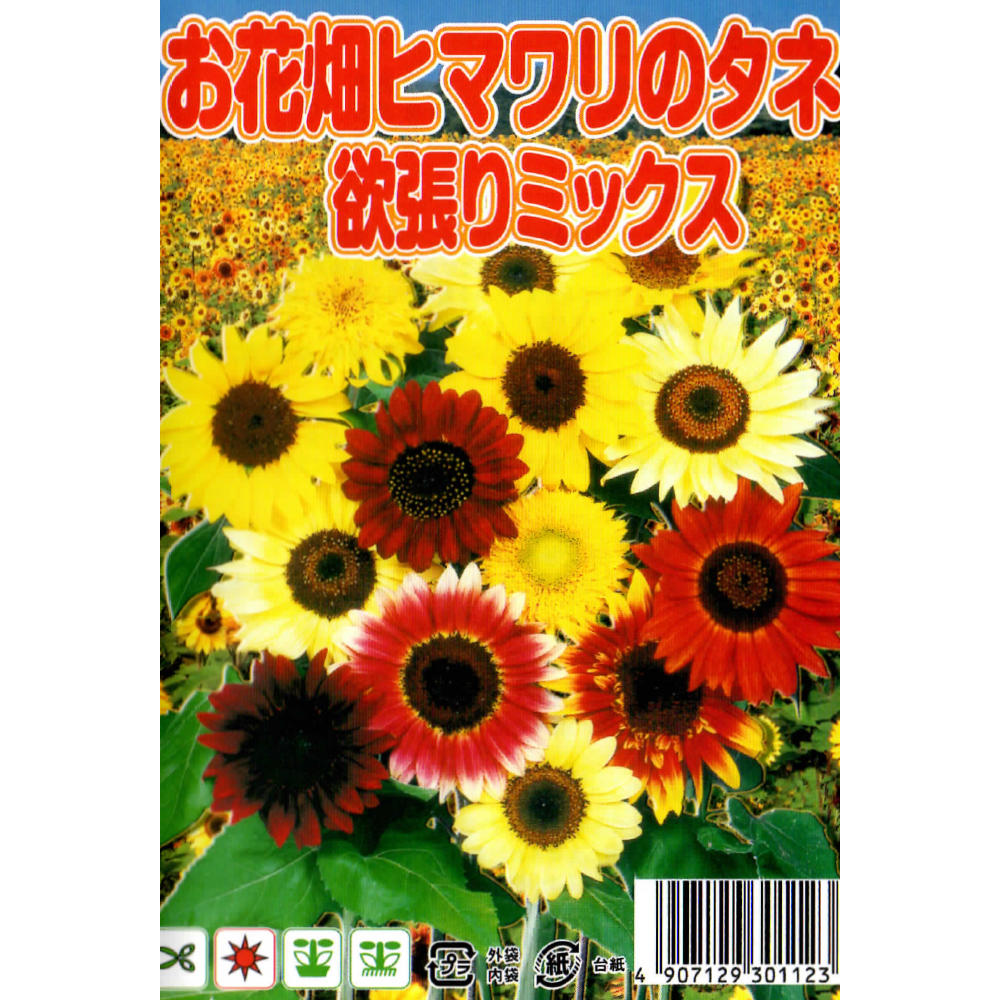 高田種苗オンラインショップ お花畑ヒマワリのタネ 欲張りミックス