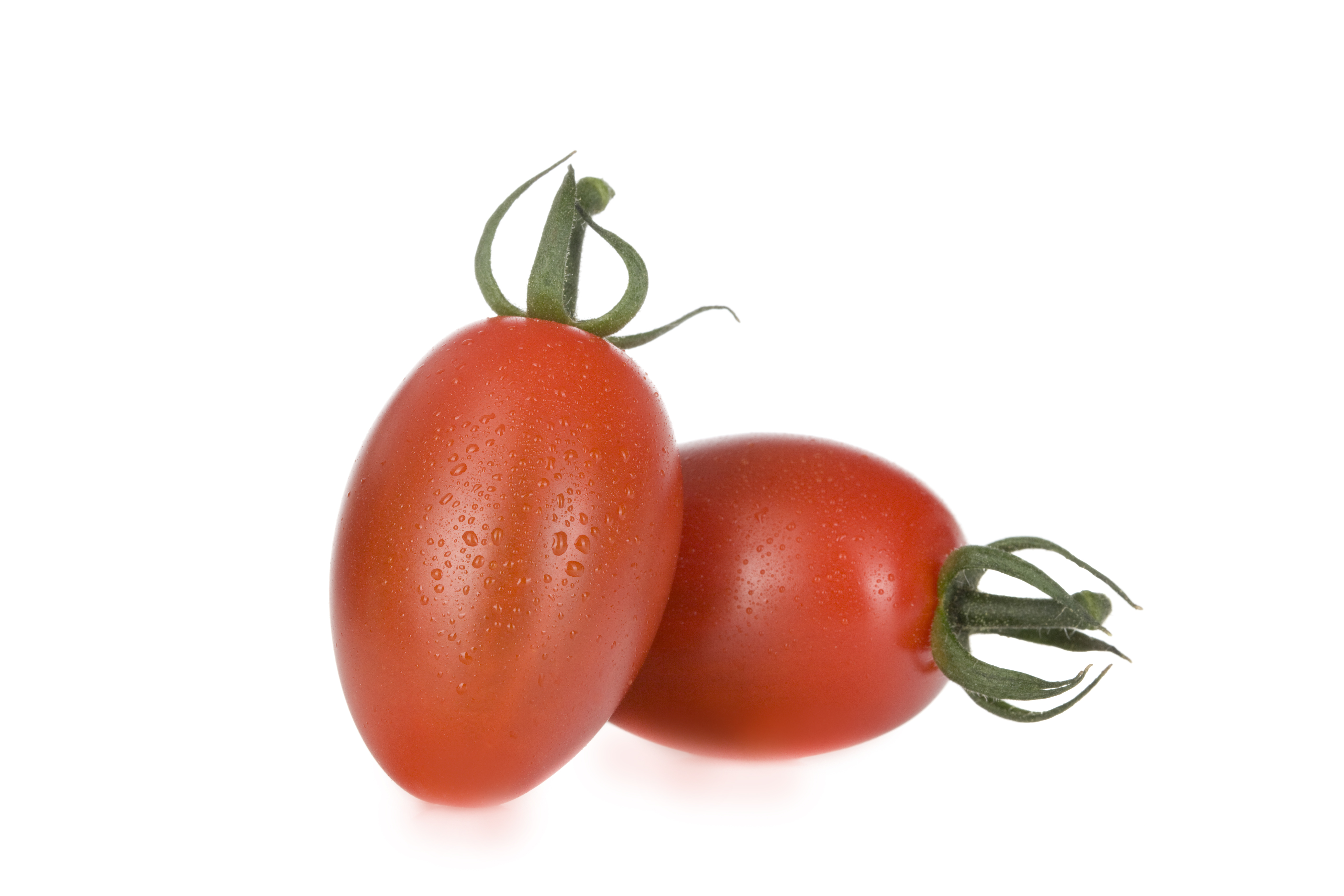 カルディノ　caldino  RZ 100粒入り袋