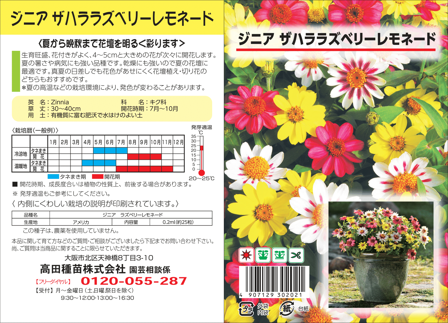 ジニア　ザハララズベリーレモネード　１袋