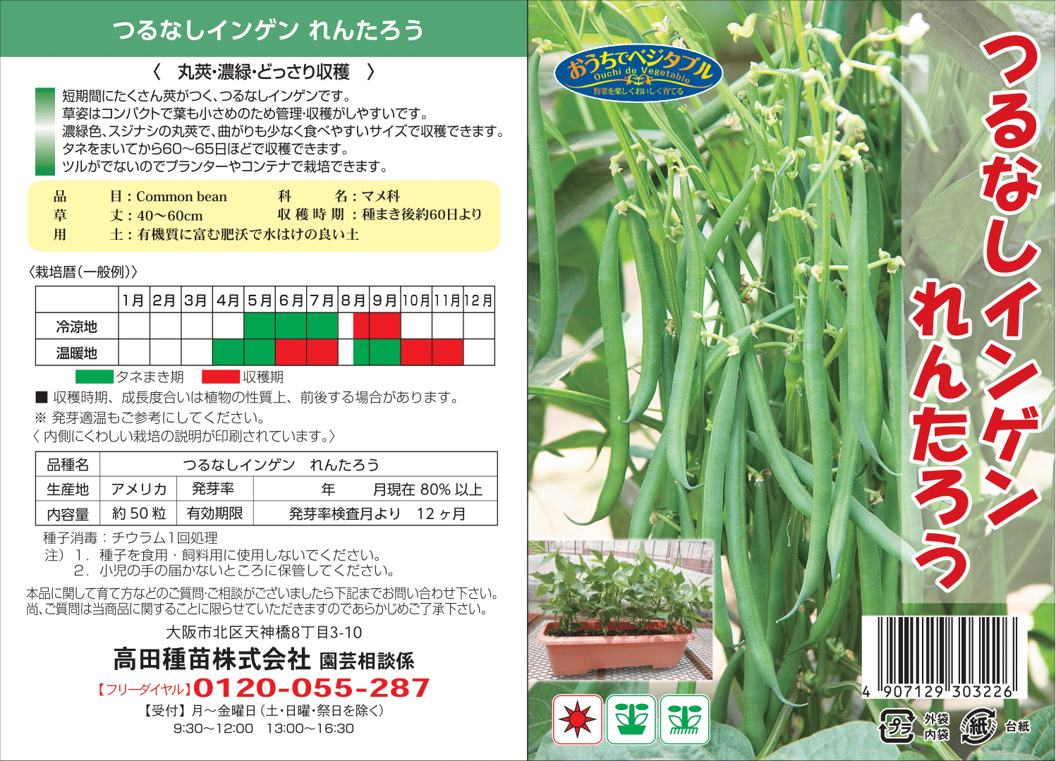 つるなしインゲン　れんたろう　１袋