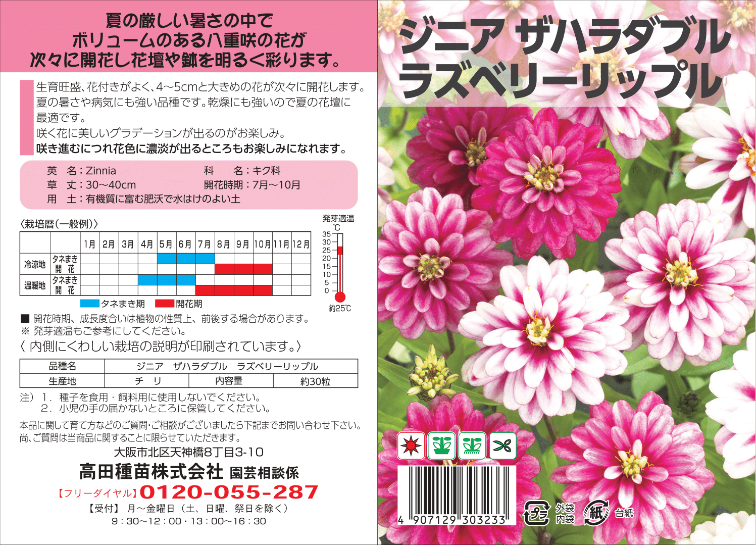 ジニア　ザハラダブル　ラスベリーリップル　１袋