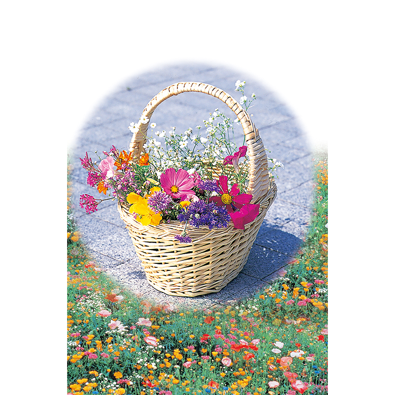 お花畑フラワーシード　花摘みミックス　1袋