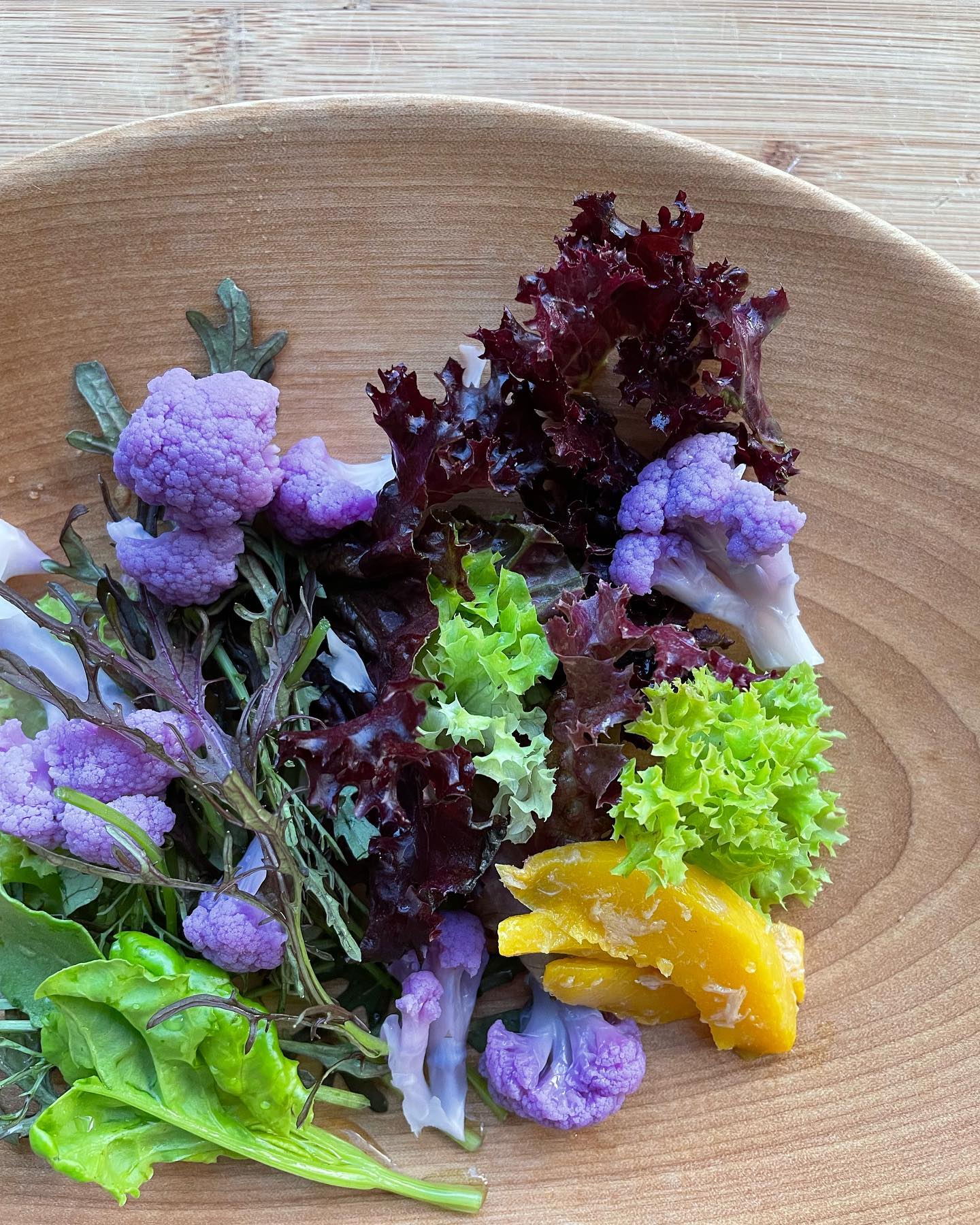 ライクズワーン社の紫カリフラワー品種、ラベンダーです。サッと茹でてサラダに。紫のようなピンクのようなカラーが綺麗ですね#高田種苗#ライクズワーン#野菜#収穫#カリフラワー#紫カリフラワー#rijkzwaan#農家