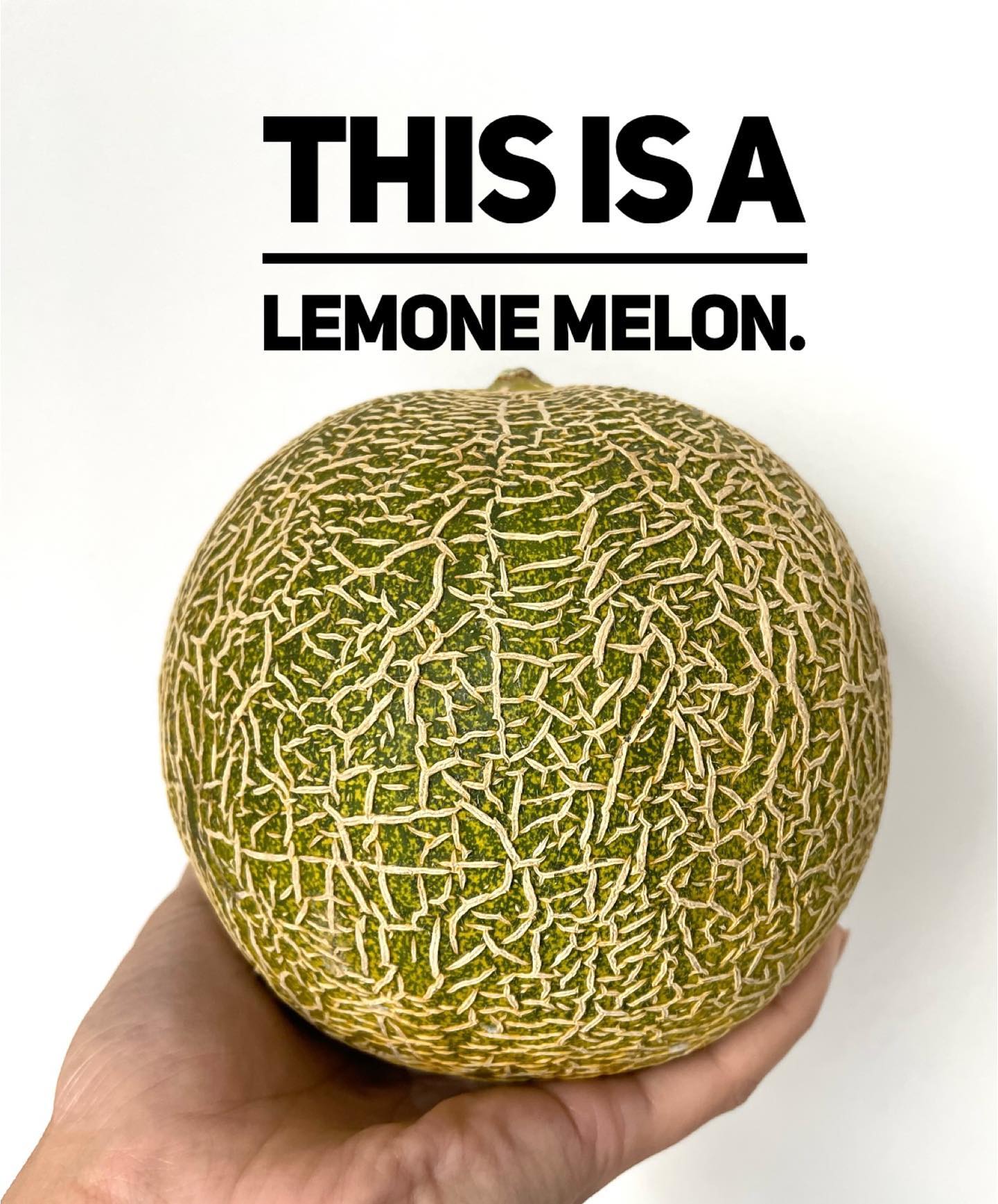 こちらは弊社が海外向けに販売しておりますレモーネメロンになりますプランターでも栽培いただけるのも魅力ですねレモンのようなスッキリとした風味が特徴ですそのままデザートとしてだけでなく生ハムを巻いてカプレーゼのようにしていただいても美味しい品種です️#高田種苗#takadaseed#野菜#収穫#レモーネ#メロン