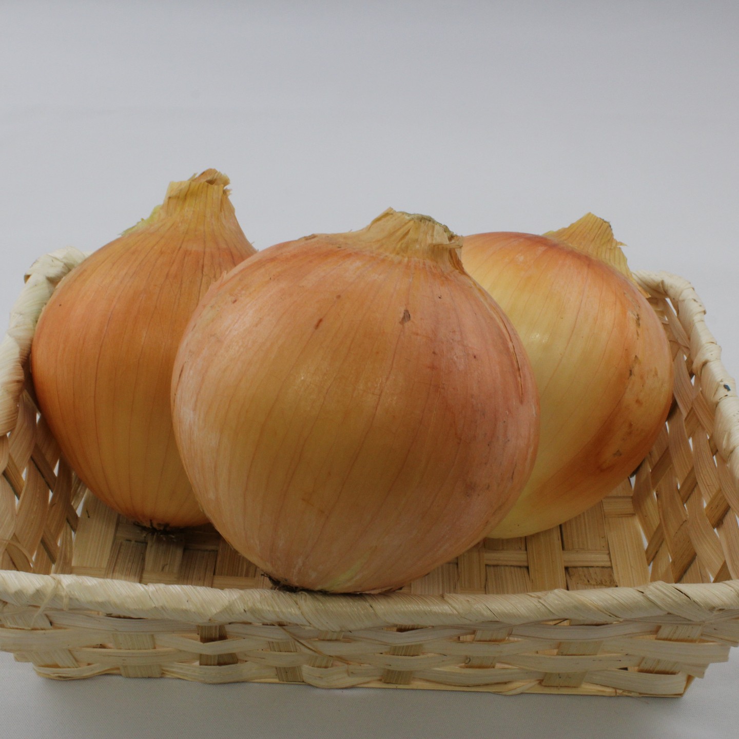 この度、日本種苗協会のタマネギ審査会にて、弊社中晩性タマネギ品種「泉州の力」が3等入賞となりました。種苗協会の審査会では初の入賞となります。今後更なる高みを目指してより一層励んでいく所存です。#高田種苗#玉葱#野菜#収穫#玉葱品種#onion #takadaseed#泉州の力#中晩性